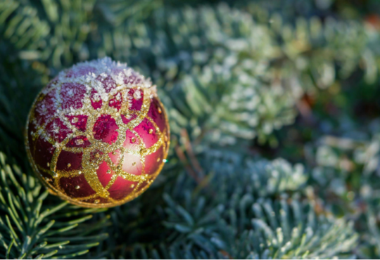 Transform Your Holidays with a Stunning Flocked Tree