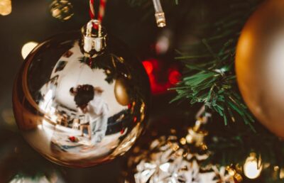 Find the Perfect Christmas Tree & Ornaments