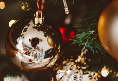 Find the Perfect Christmas Tree & Ornaments